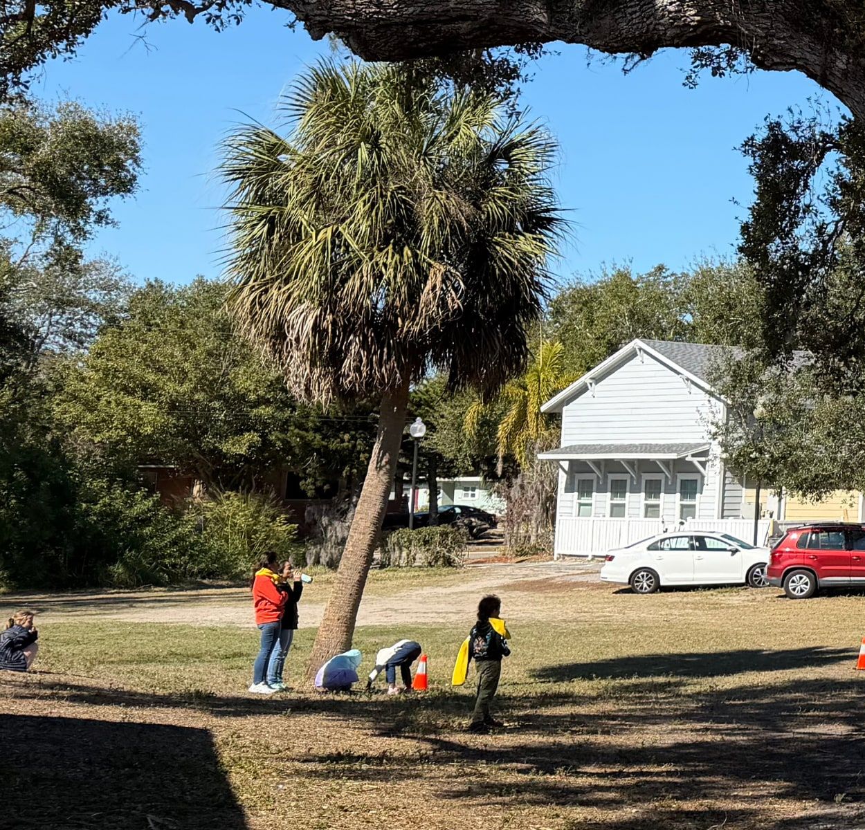 Children play on a shaded lawn under a large oak tree among two-story homes, with adults watching and cars parked nearby.